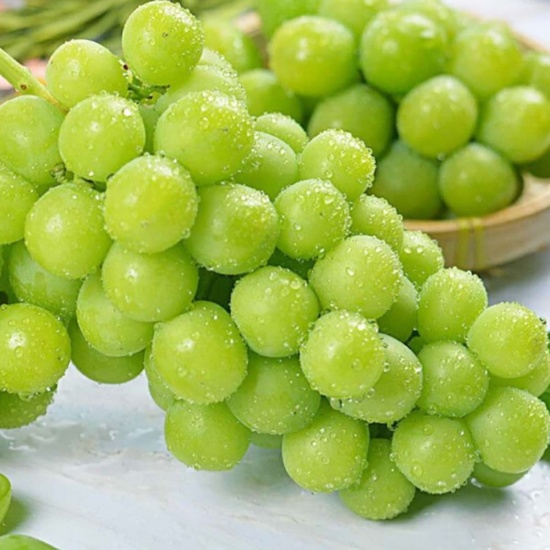 Nho xanh không hạt nhập khẩu